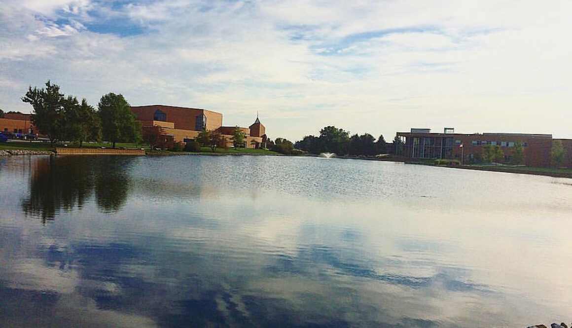 Home Allofe Case Studies